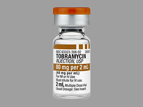 Tobramycin Sulfate